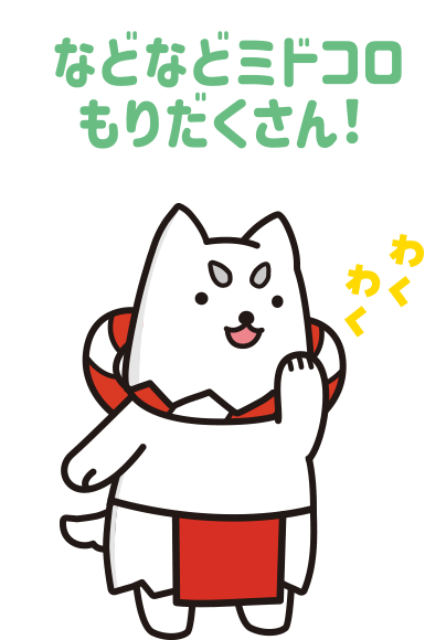 などなどミドコロもりだくさん！